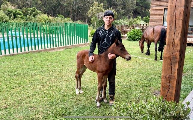 secretos del rancho el totoral el quisco arriendo de cabanas eventos 1