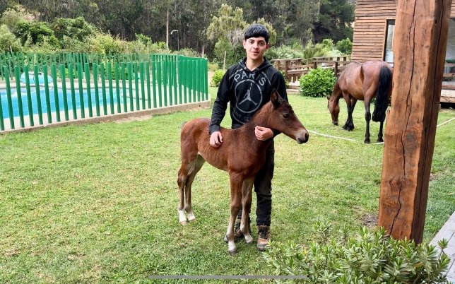 secretos del rancho el totoral el quisco arriendo de cabanas eventos piscina quincho 1